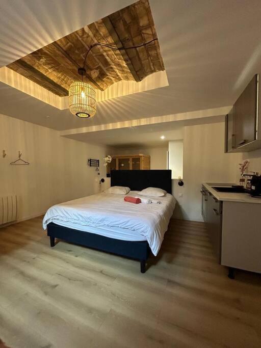 Cellar- Appartement Sous-Sol Atypique Reims Exterior foto